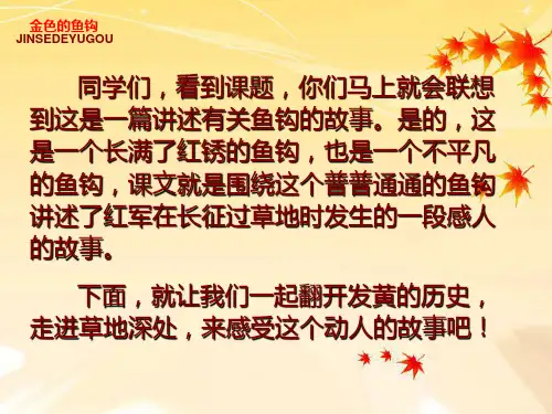 《金色的鱼钩》完整版