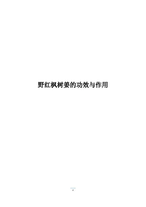野红枫树姜的功效与作用