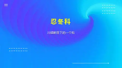 忍冬科    