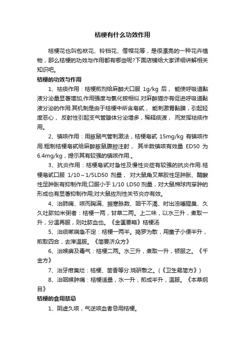 桔梗有什么功效作用