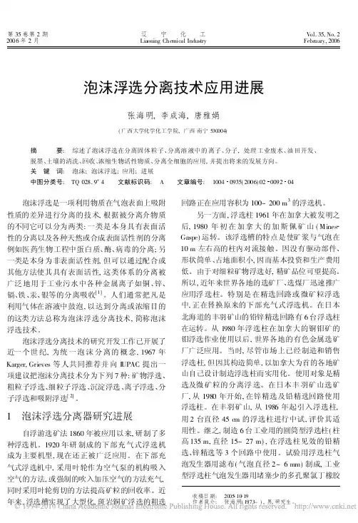 泡沫浮选分离技术应用进展