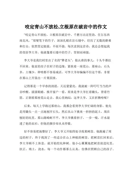 咬定青山不放松,立根原在破岩中的作文