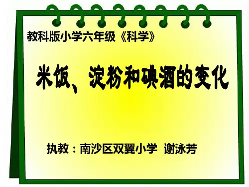 米饭淀粉和碘酒的变化