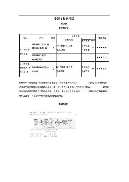 浙江省高考生物总复习专题5细胞呼吸