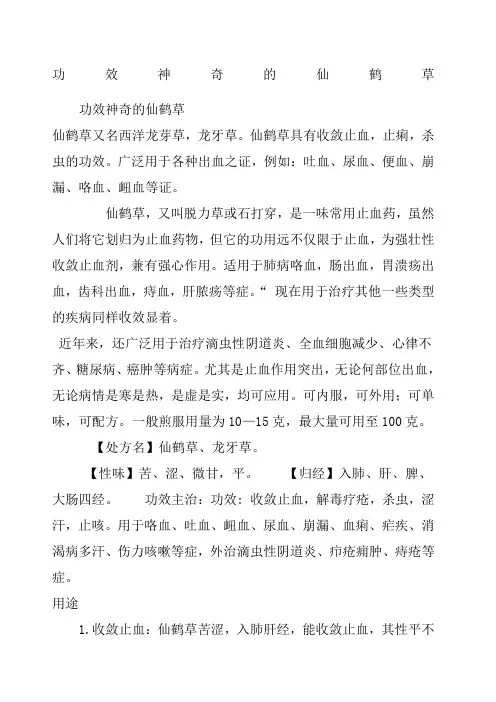 功效神奇的仙鹤草