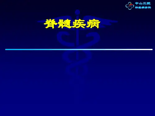 神经病学：脊髓疾病