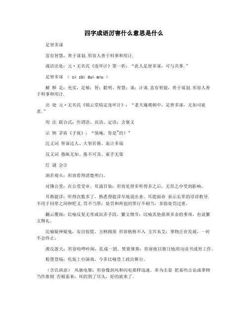四字成语厉害什么意思是什么