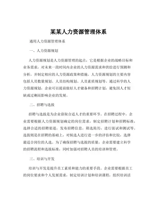 某某人力资源管理体系
