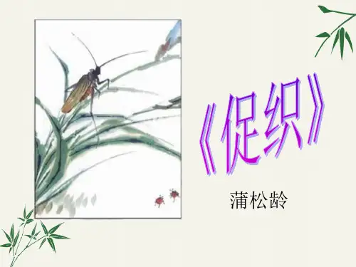 《促织》ppt课件