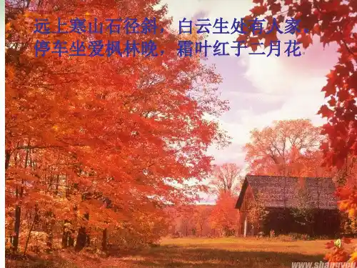 作文指导 三级作文秋天 ppt课件(完美版)