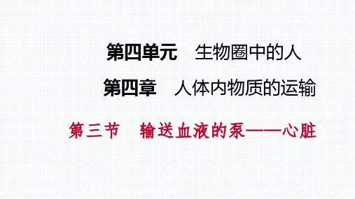 第四章第三节 第1课时 心脏的结构和功能
