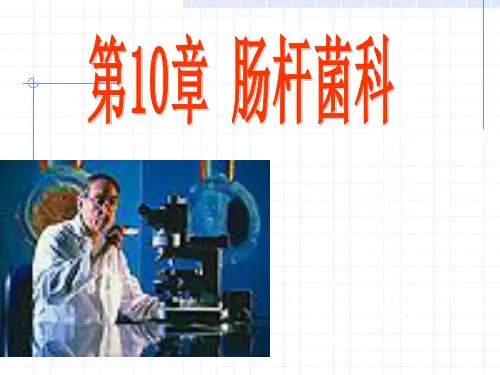 临床微生物与检验 第10章  肠杆菌科