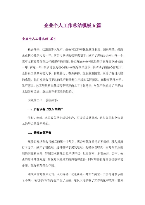 企业个人工作总结模板5篇