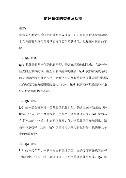 简述抗体的类型及功能