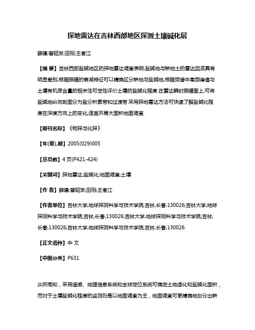 探地雷达在吉林西部地区探测土壤碱化层