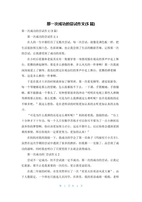 那一次成功的尝试作文(5篇)