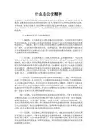什么是公安精神