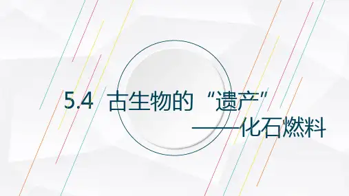 5.4  古生物的“遗产”——化石燃料 课件-科粤版九年级上册化学(共18张PPT)