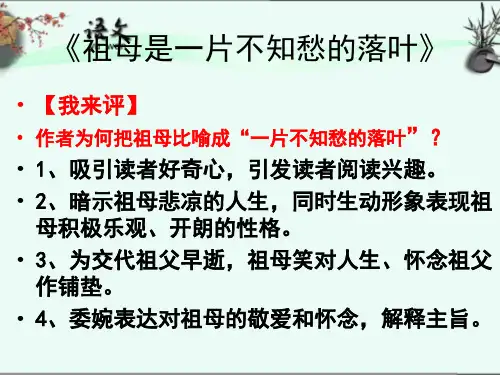 现代文阅读审题与规范