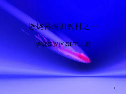 燃烧器程控器培训教材
