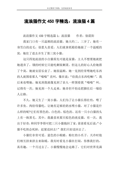 流浪猫作文450字精选：流浪猫4篇