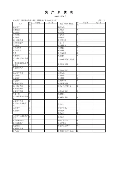 国税格式资产负债表