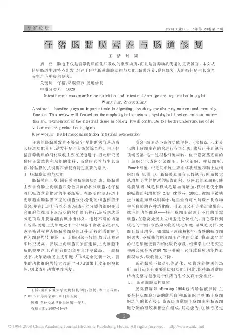 仔猪肠黏膜营养与肠道修复