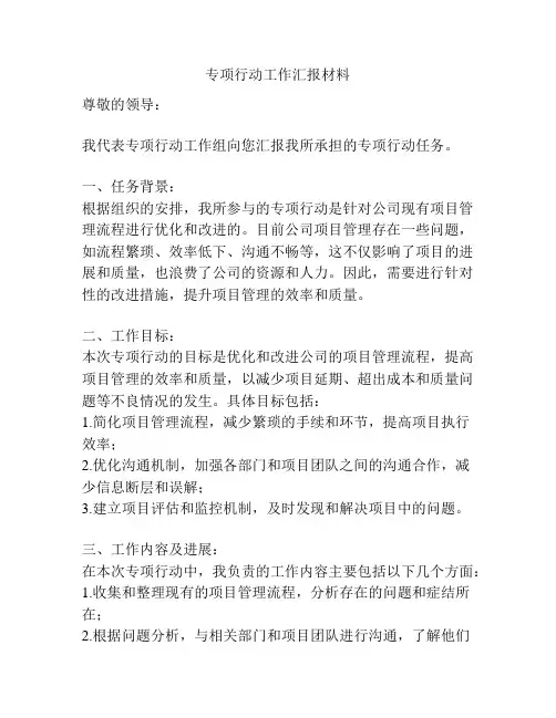 专项行动工作汇报材料