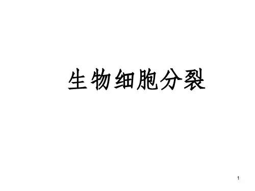 细胞分裂图像的判断高中必修二PPT课件