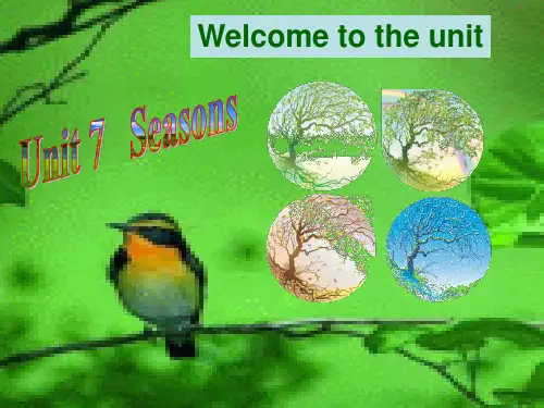 江苏新教材牛津英语八年级上 Unit7 seasons Welcome to the unit