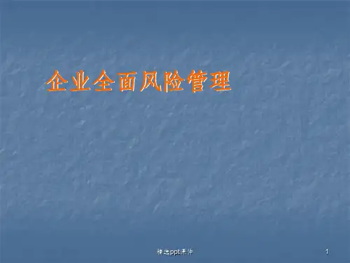 全面风险管理ppt课件