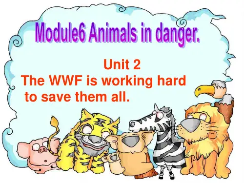 最新2019-初中英语八年级上册Module 6 Unit 2 The WWF is working hard课件-PPT课件