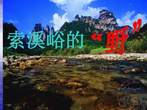 《索溪峪的野》PPT课件