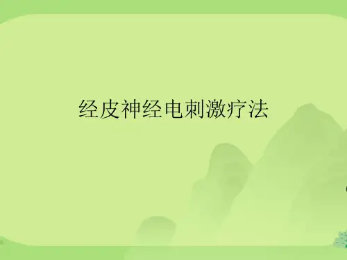 经皮神经电刺激疗法