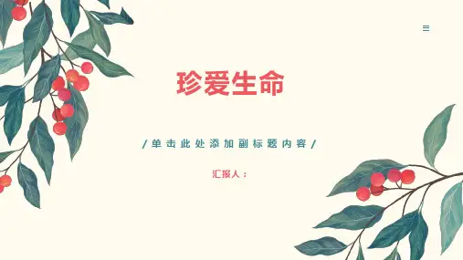 《主题班会珍爱生命》PPT课件