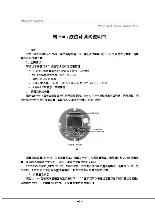 带 Hart 液位计调试说明书