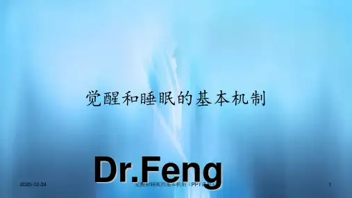 觉醒和睡眠的基本机制(PPT课件)