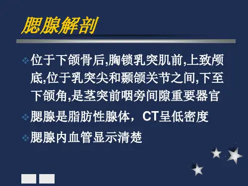 腮腺颈部疾病的影像诊断-文档