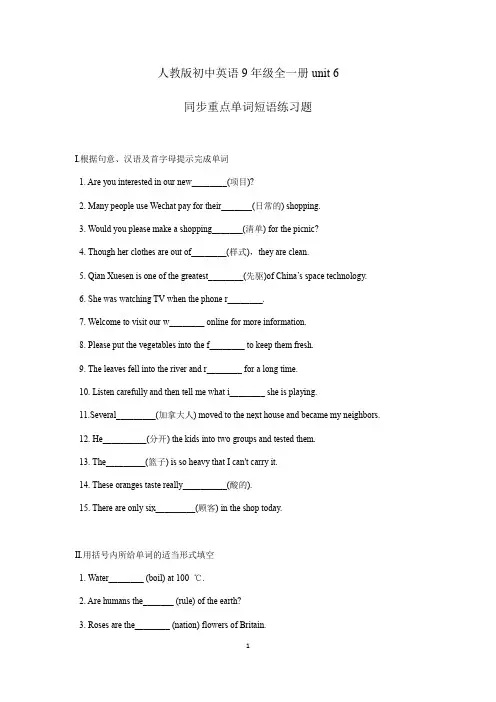 人教版初中英语九年级全一册unit 6  同步重点单词短语练习题(含答案)