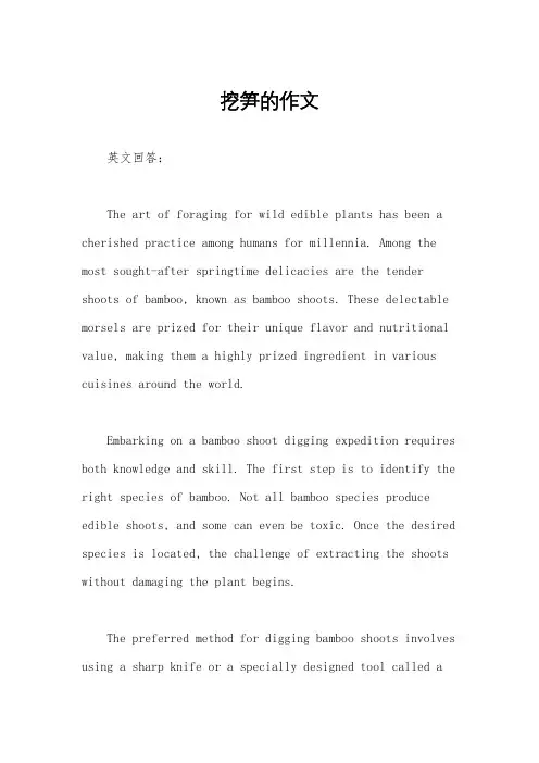 挖笋的作文