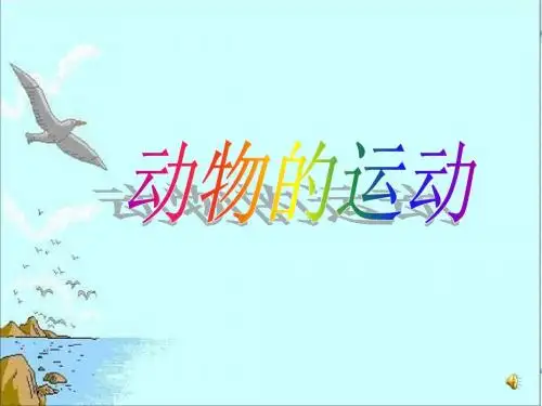 第一节 动物的运动