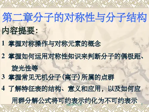 分子对称性ppt课件