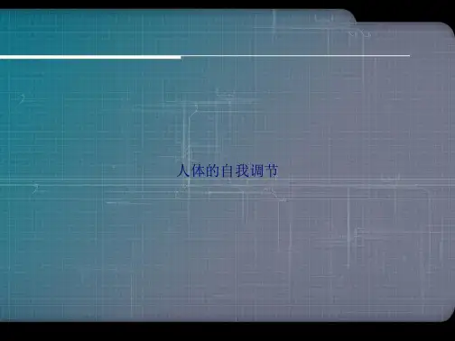 人体的自我调节讲课文档