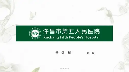 人本位护理案例ppt课件