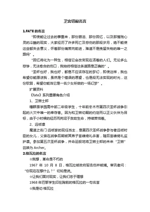卫宫切嗣名言