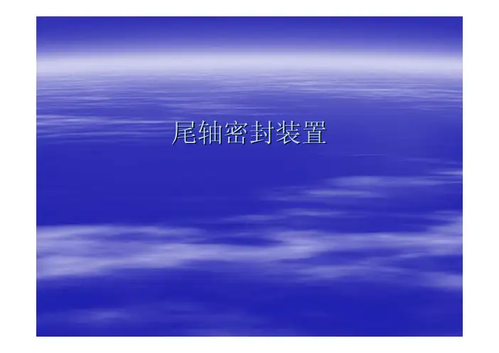 尾轴密封装置