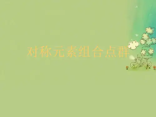 对称元素组合点群优秀课件