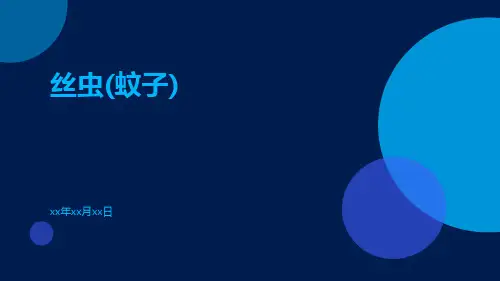 丝虫(蚊子)