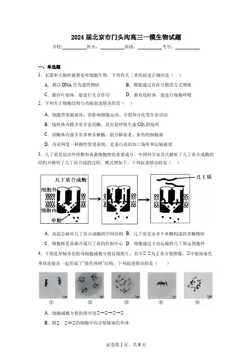 2024届北京市门头沟高三一模生物试题