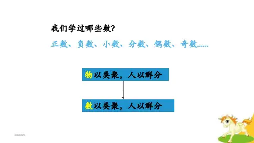 人教版数学七年级上第一章有理数1.2 有理数   课件(22张PPT)